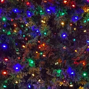 Meet your Posher, Binita